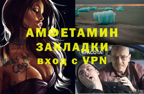 бошки Белокуриха