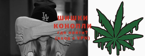 бошки Белокуриха