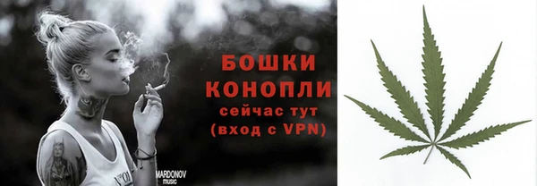 бошки Белокуриха